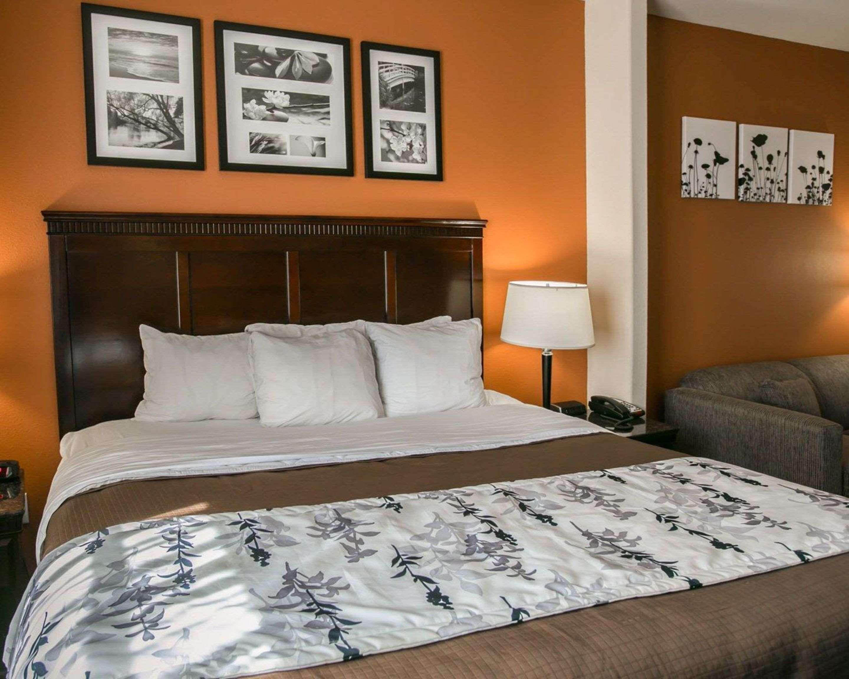Sleep & Hwy 290-nw Freeway Hotel